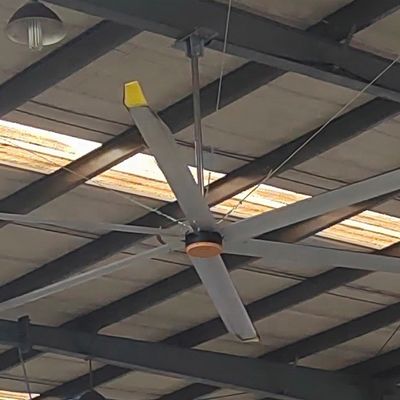 Un buen precio. 5.5m 18FT ventilador de techo HVLS para restaurante directo y planta de fabricación de alta tensión en línea