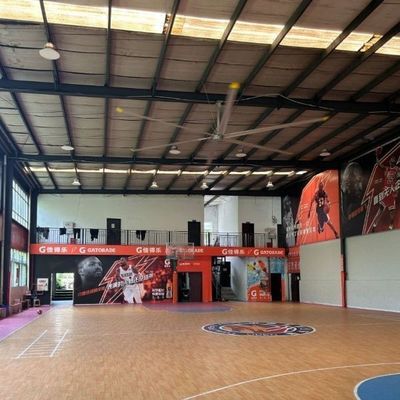 Un buen precio. 8-24FT Gran ventilador industrial para la ventilación de baloncesto AC corriente eléctrica Tipo de cuchilla Material de aluminio en línea