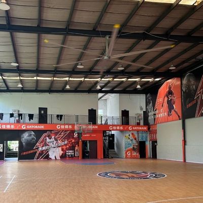 Un buen precio. 24 pies (7,3 metros) HVls ventilador de techo industrial para la ventilación de baloncesto en línea